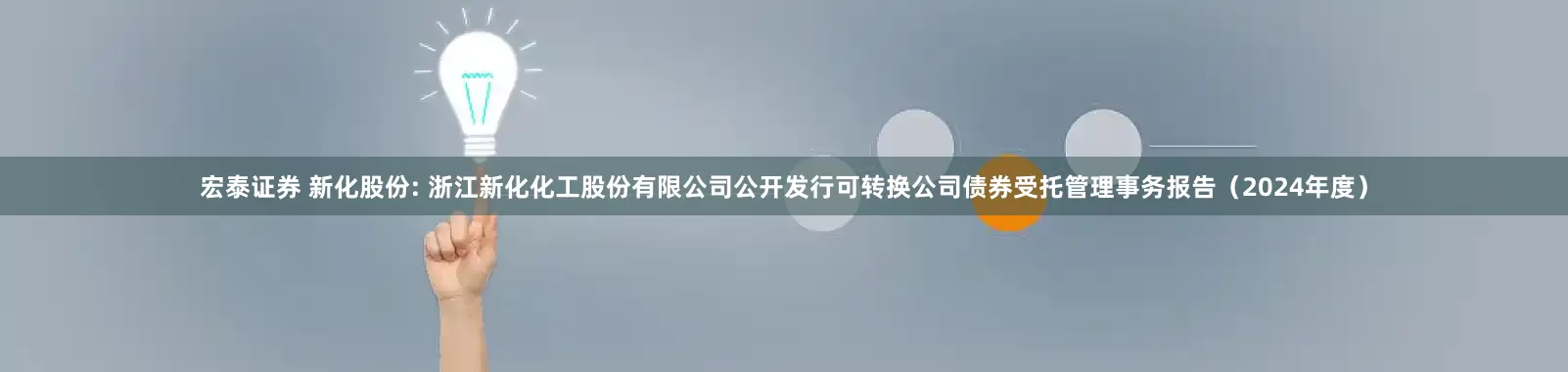 宏泰证券 新化股份: 浙江新化化工股份有限公司公开发行可转换公司债券受托管理事务报告(2024年度)