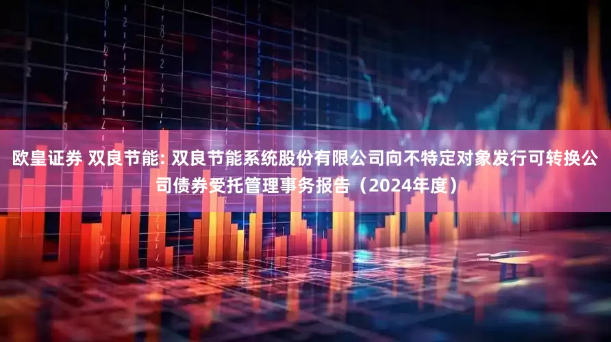 欧皇证券 双良节能: 双良节能系统股份有限公司向不特定对象发行可转换公司债券受托管理事务报告（2024年度）