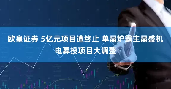欧皇证券 5亿元项目遭终止 单晶炉霸主晶盛机电募投项目大调整