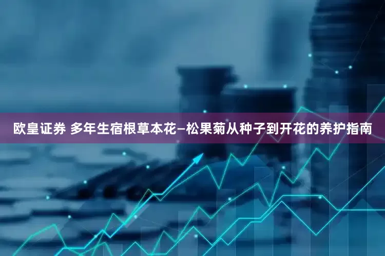 欧皇证券 多年生宿根草本花—松果菊从种子到开花的养护指南