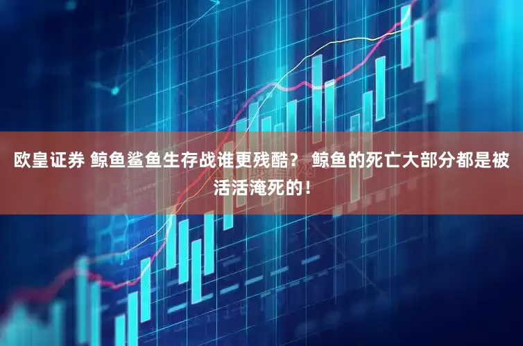欧皇证券 鲸鱼鲨鱼生存战谁更残酷? 鲸鱼的死亡大部分都是被活活淹死的!